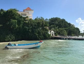 Punta Cana: Whale Watching and Bacardi Island Day Trip