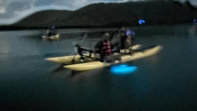 La Parguera: Bioluminescent Bay Chiliboats Waterbike Tour