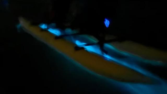 La Parguera: Bioluminescent Bay Chiliboats Waterbike Tour