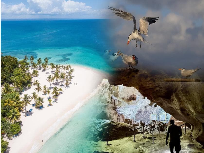 Day Trip to Los Haitises National Park & Cayo Levantado (Bacardi Island)