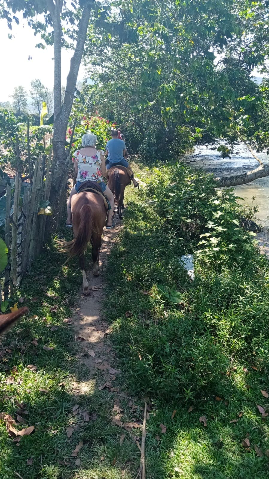 Jarabacoa: Horseride Excursion to Salto Baiguate Waterfall - Photo 5 (Gallery view)