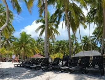 Escursione giornaliera privata all'isola di Saona da Juan Dolio - Photo 2 (Gallery view)