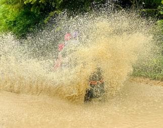 Bayahibe: Jungle Off-Road Buggy Adventure