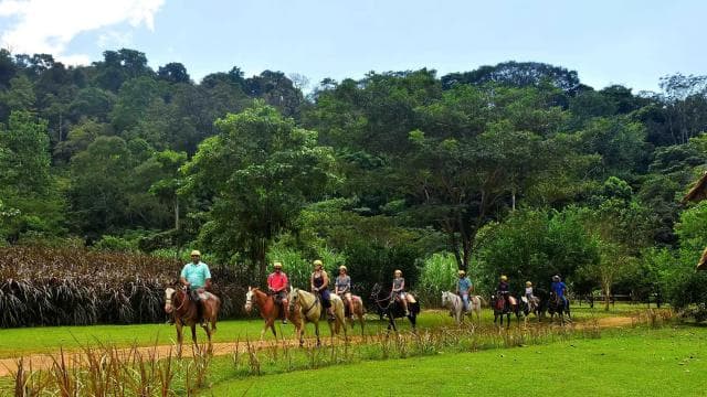 Jaco Beach: Horseback Riding with Natural Pool Stop