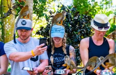 Punta Cana: Monkey Land Half-Day Safari and Plantation