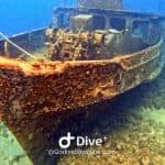 Bayahibe: Schnorcheltour – Meer, Cotubanama-Park und Cenoten - Photo 4 (Gallery view)