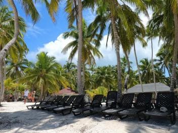From Santo Domingo: Saona Island Catamaran and Speedboat