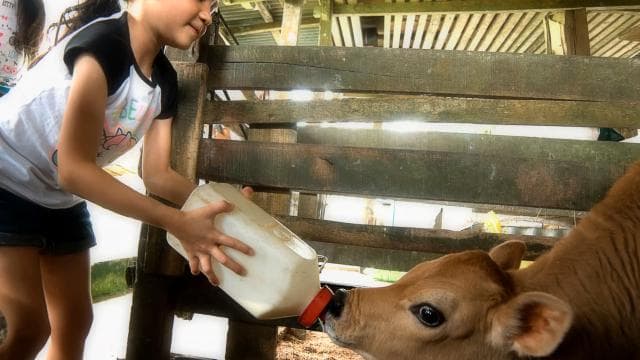La Fortuna: Small Group Half–Day Campesino Farm Experience