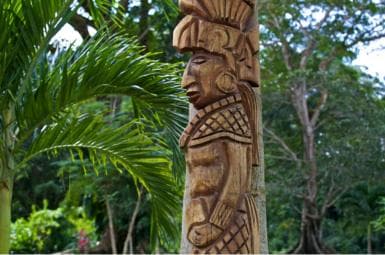 Punta Cana: Ecological Reserve 4x4 Tour with Tastings
