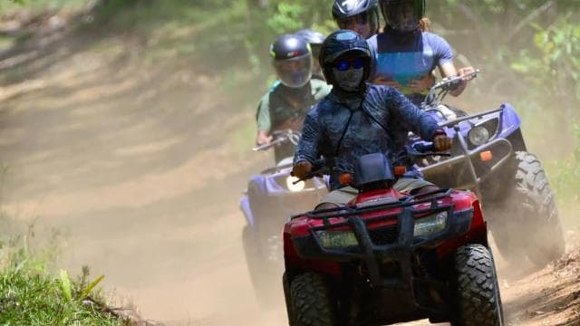 Costa Rica: aventura en vehículo todoterreno de 2 horas por la jungla y la playa - Photo 4 (Gallery view)