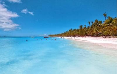 Saona Island Day Trip + Lobsters Included