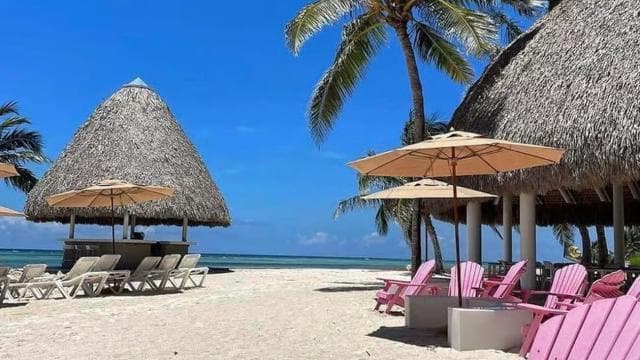 Punta Cana Luxury Snorkel & Beach Club Day at Playa Blanca - Photo 4 (Gallery view)