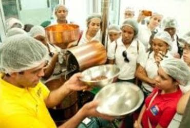 Private: Cacao Plantation Tour with Lunch & Tasting