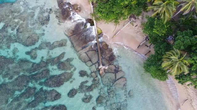 Punta Uva: Clear Kayak Tour with Jungle and Sea Views - Photo 3 (Gallery view)