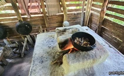 Tour de safari por el campo de República Dominicana desde Puerto Plata - Photo 4 (Gallery view)