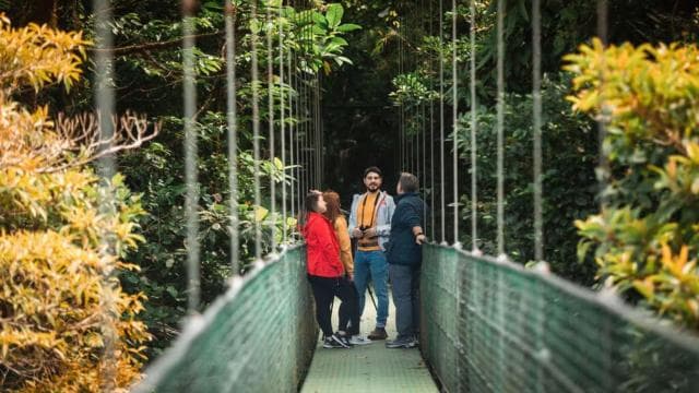 Monteverde: SkyWalk Hanging Bridges Adventure - Photo 5 (Gallery view)