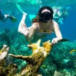 Snorkeling à Cayo Levantado et sur l'île de Farola - Photo 4 (Gallery view)