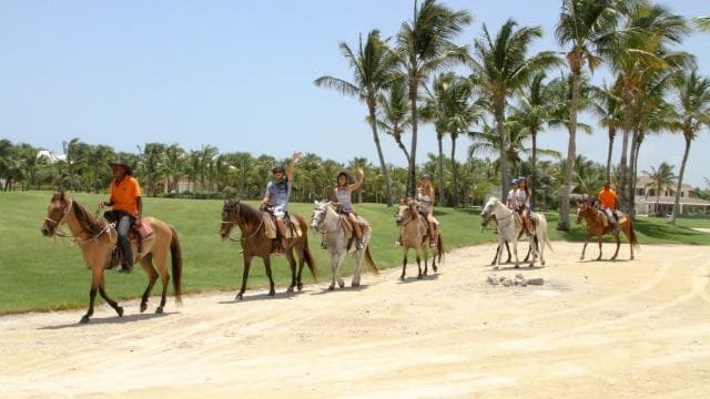 Horseback Riding Tour of Punta Cana - Photo 4 (Gallery view)