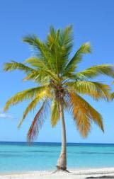 Saona Island: Tour of the 4 Beaches with Canto de la Playa