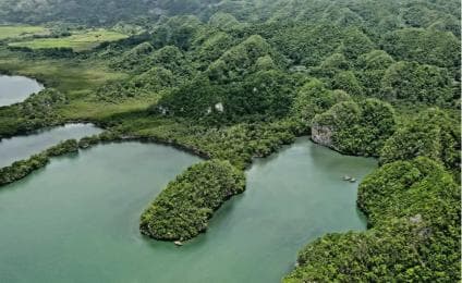 Los Haitises: Boat Excursion and Walking Tour with Lunch