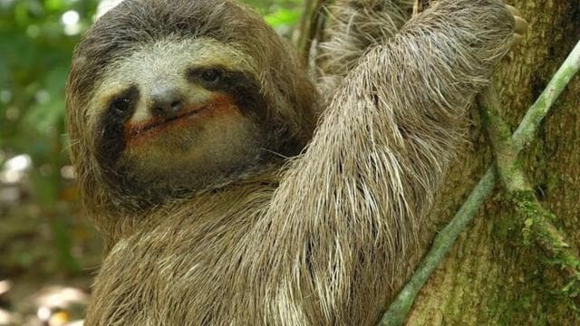 La Fortuna на цілий день Arenal Combo водоспад, вулкан і багато іншого - Photo 2 (Gallery view)