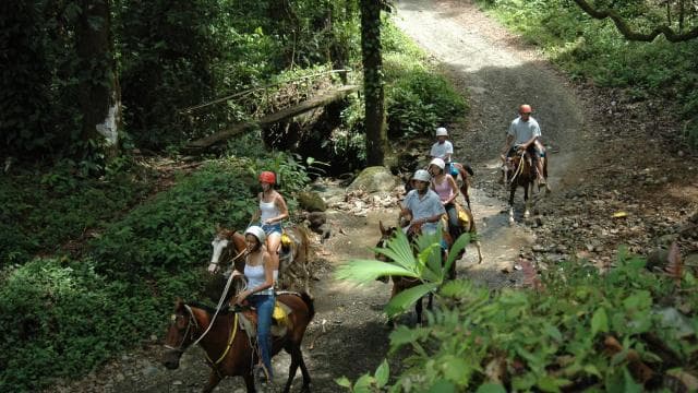 Quepos: passeggiata a cavallo alle cascate dello Sciamano - Photo 3 (Gallery view)