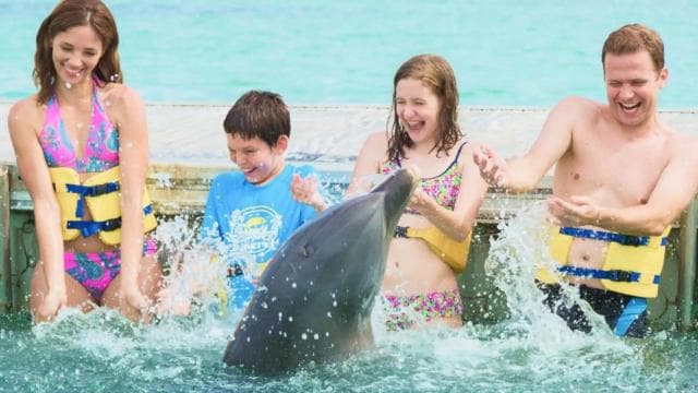 Punta Cana: Dolphin Action Program - Photo 3 (Gallery view)