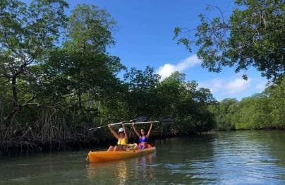 Los Haitises: Guided Kayak Tour with Local Guide