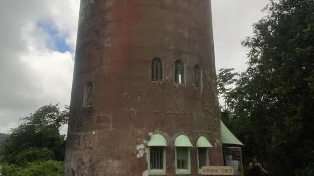 El Yunque Tur Pădurea tropicală și toboganul de apă Puerto Rico - Photo 4 (Gallery view)