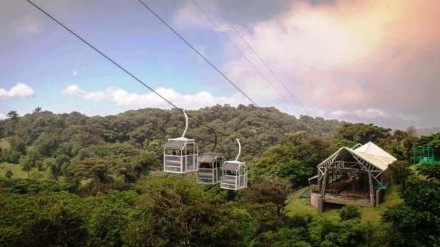 San Jose: Monteverde Sky Tram & Hanging Bridges Day Tour - Photo 3 (Gallery view)
