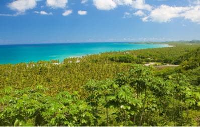 Samana Day Tour: Cayo Levantado & Rincon Bay Paradise