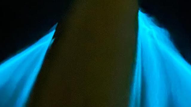 La Parguera: Bioluminescent Bay Chiliboats Waterbike Tour - Photo 3 (Gallery view)