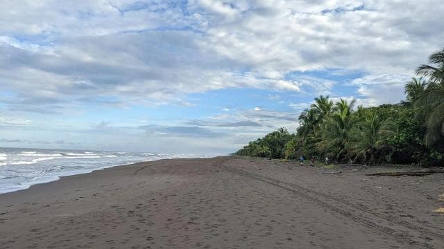 Cahuita National Park: Best Things to Do in Cahuita Limon