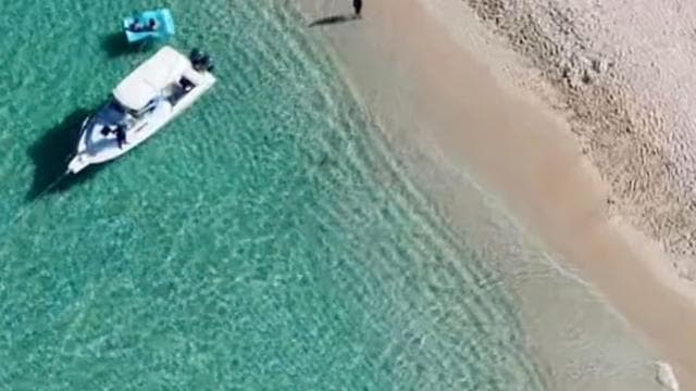 Fajardo: Private Half-Day Boat Charter to Icacos or Palomino
