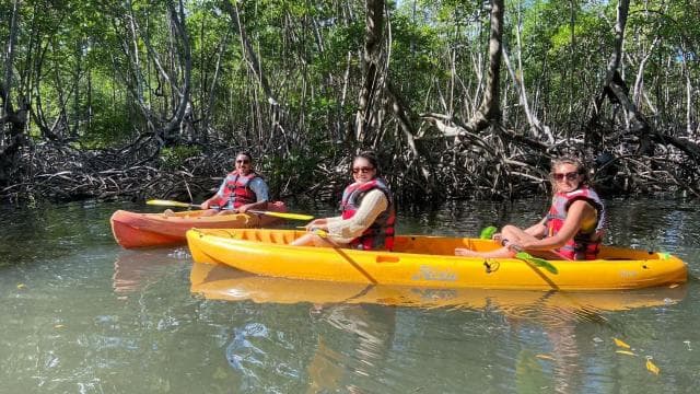 Punta Cana: Los Haitises National Park Hiking and Kayaking