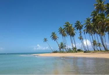 Ausflug Round Mountain und Virgin Beach von Punta Cana aus - Photo 2 (Gallery view)