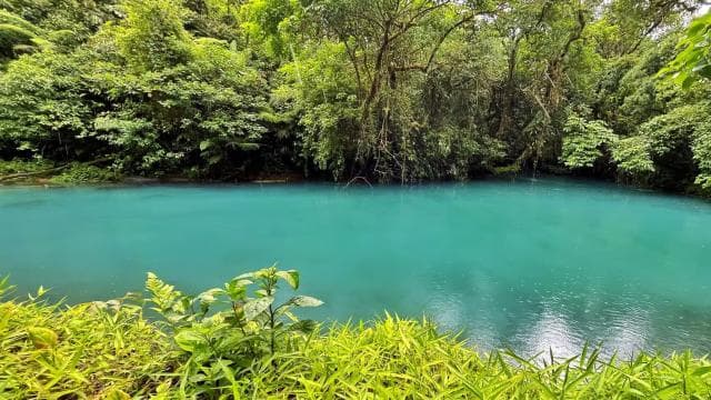 Rio Celeste: Rainforest, Sloths and Wildlife.