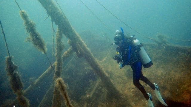 Golfito, Costa Rica: Amazing Day Wreck &/or Reef Dive Trips