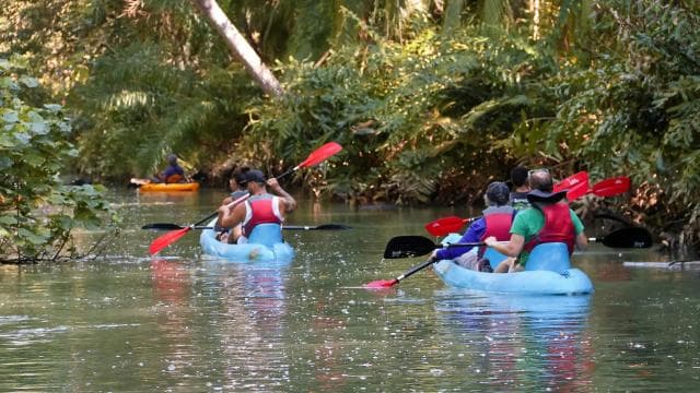 Quepos: Kajaktour in den Mangroven in der Nähe des Manuel Antonio Parks - Photo 2 (Gallery view)