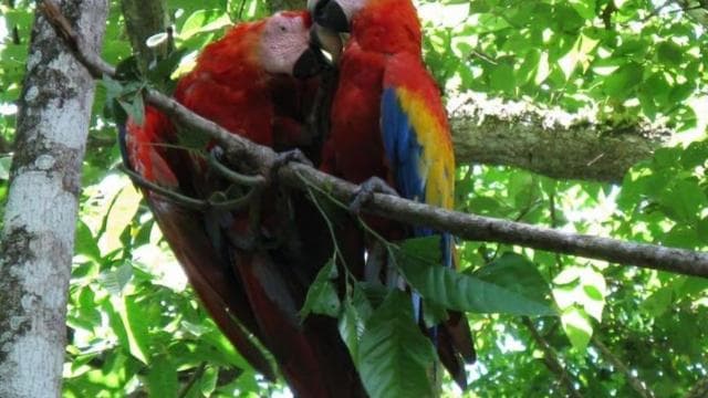 Papagayo Gulf: Palo Verde National Park Boat Tour - Photo 5 (Gallery view)