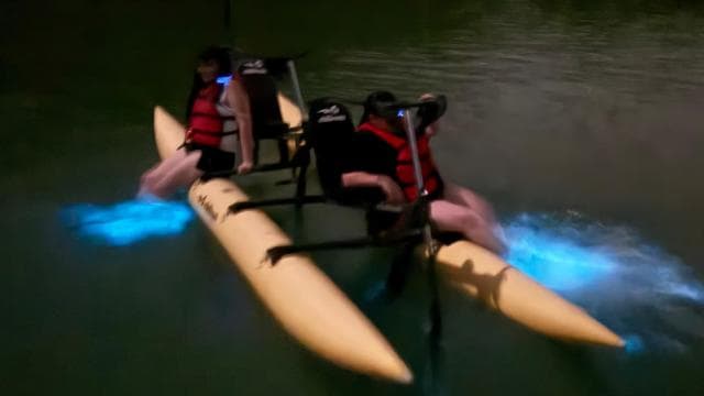 La Parguera: Bioluminescent Bay Chiliboats Waterbike Tour
