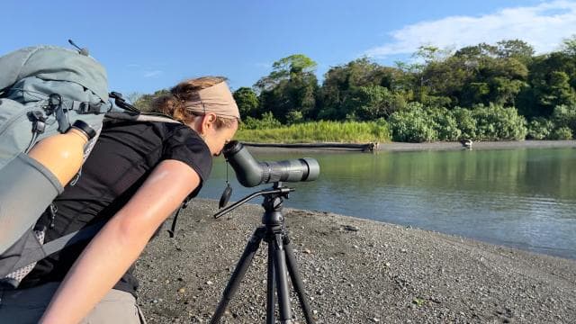 Manuel Antonio National Park Full Wildlife