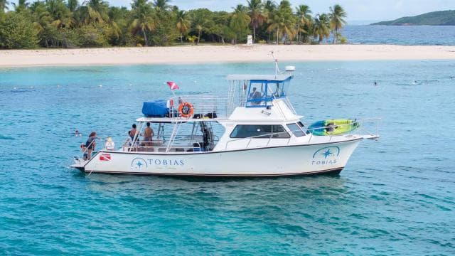 Icacos Island: Swim, Snorkel & Relax - Inclusive Boat Trip - Dominican Republic