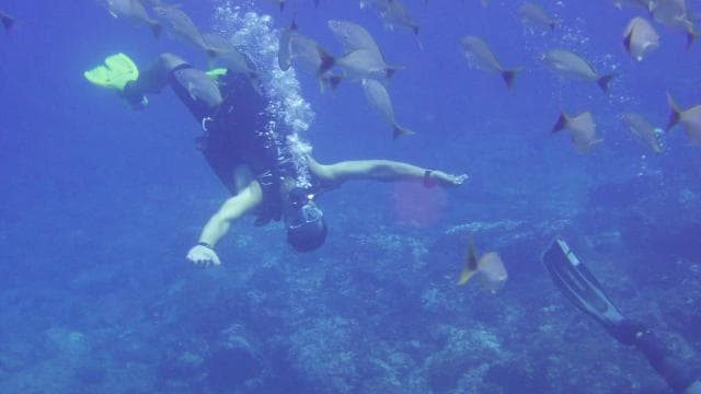 Guanacaste: Discover Scuba Dive Day in Papagayo Gulf