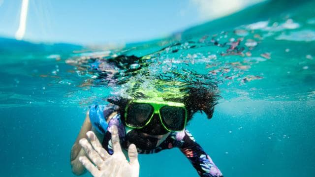 From Fajardo: Icacos Catamaran Snorkeling Tour