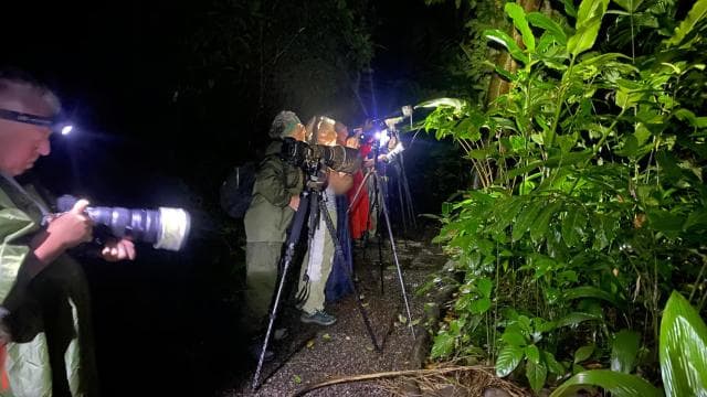La Fortuna: Ecocentro Danaus Rainforest Night Expedition
