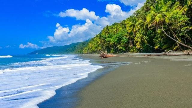 Národní park Corcovado: Pěší túra s průvodcem – celodenní - Dominican Republic