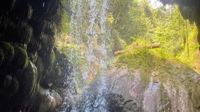 San Juan: avventura in grotta, cascata e fiume a Charco Azul - Photo 3 (Gallery view)
