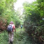 27 Waterfalls Tour with Entrance Fee & Lunch