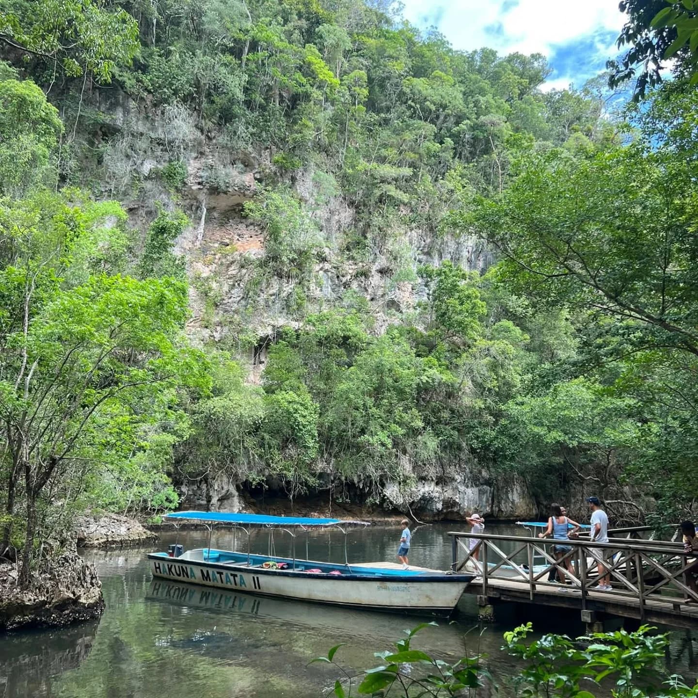 Samaná: Los Haitises National Park & Cayo Levantado Island - Dominican Republic